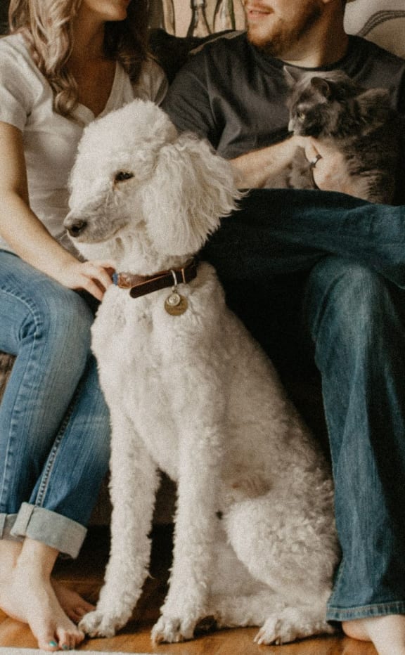 PetFriendly Apartments in Rochester MN Heritage Manor Apartments